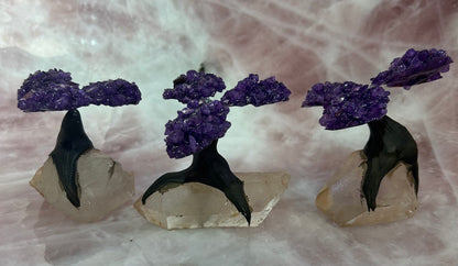 Gem Trees