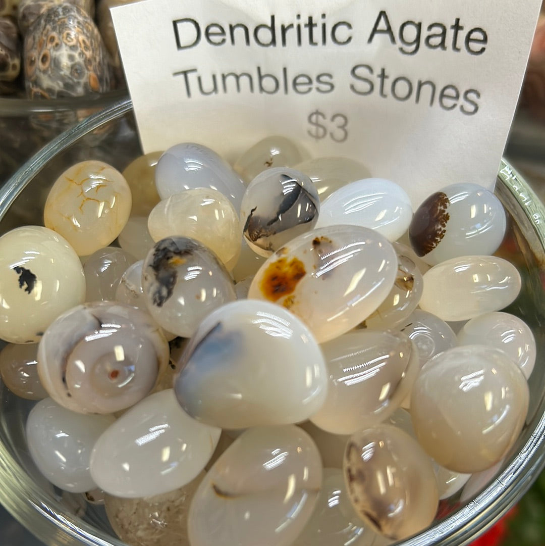 Dendritic Agate Tumbles Mountain Mineral Market
