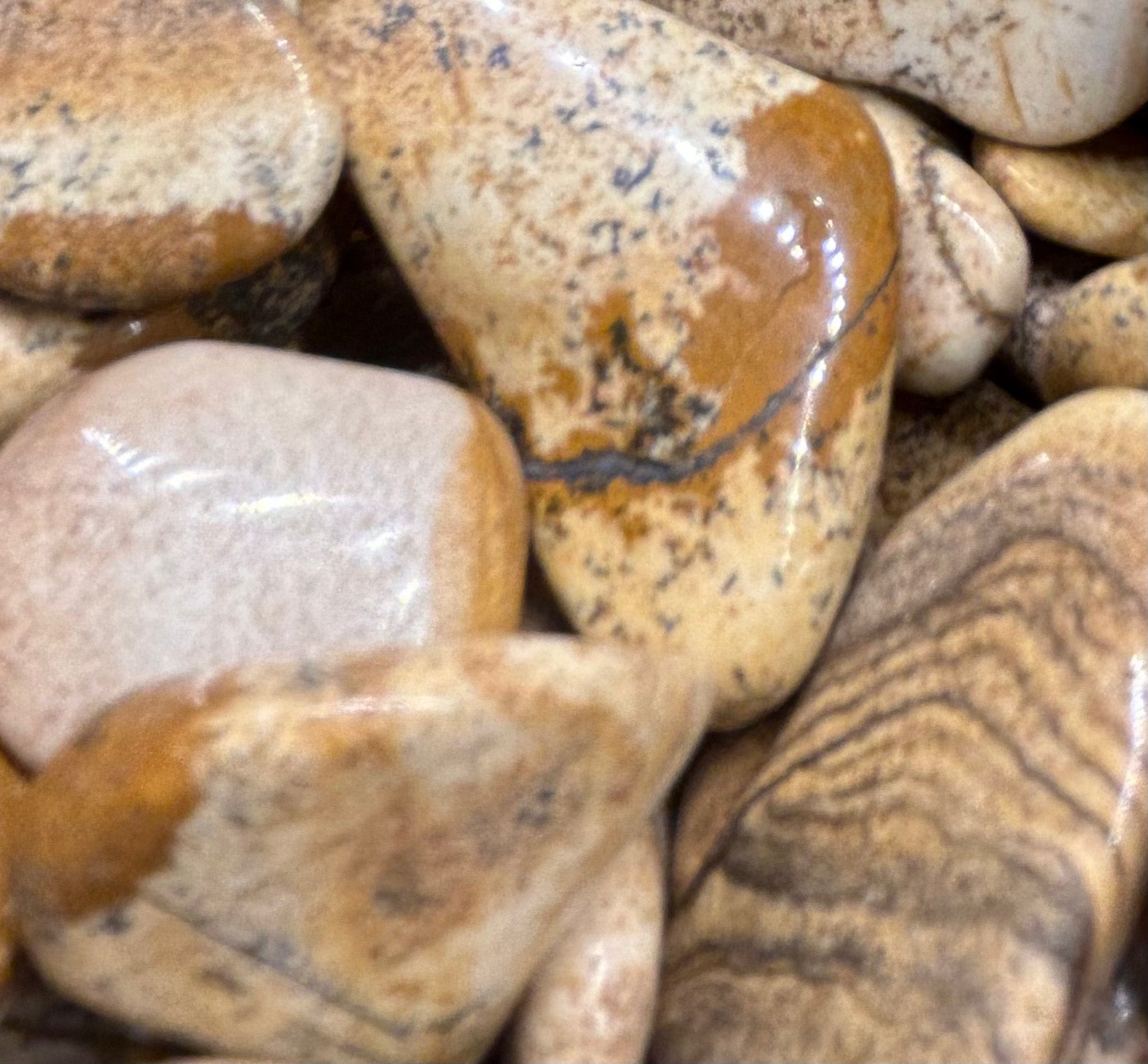 Dendritic Picture Jasper Tumble Mountain Mineral Market