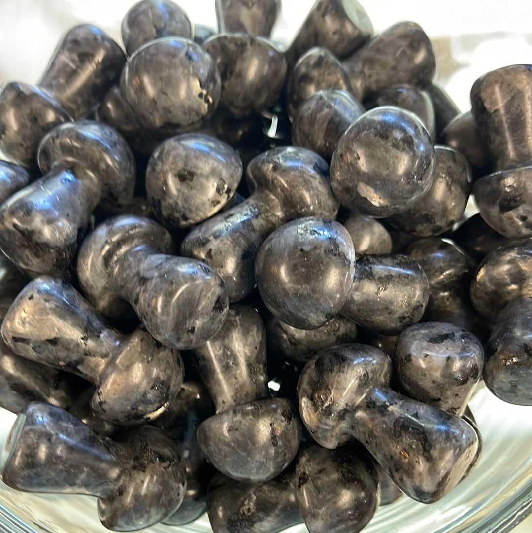 Larvakite Mushrooms 1.5 inch Mountain Mineral Market