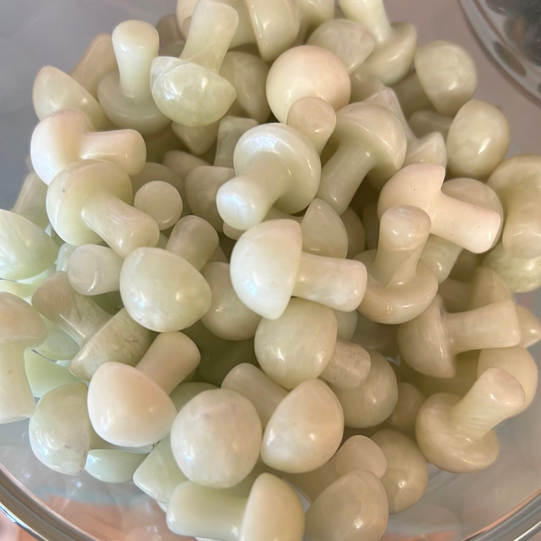 Lemon jade mushrooms MMM