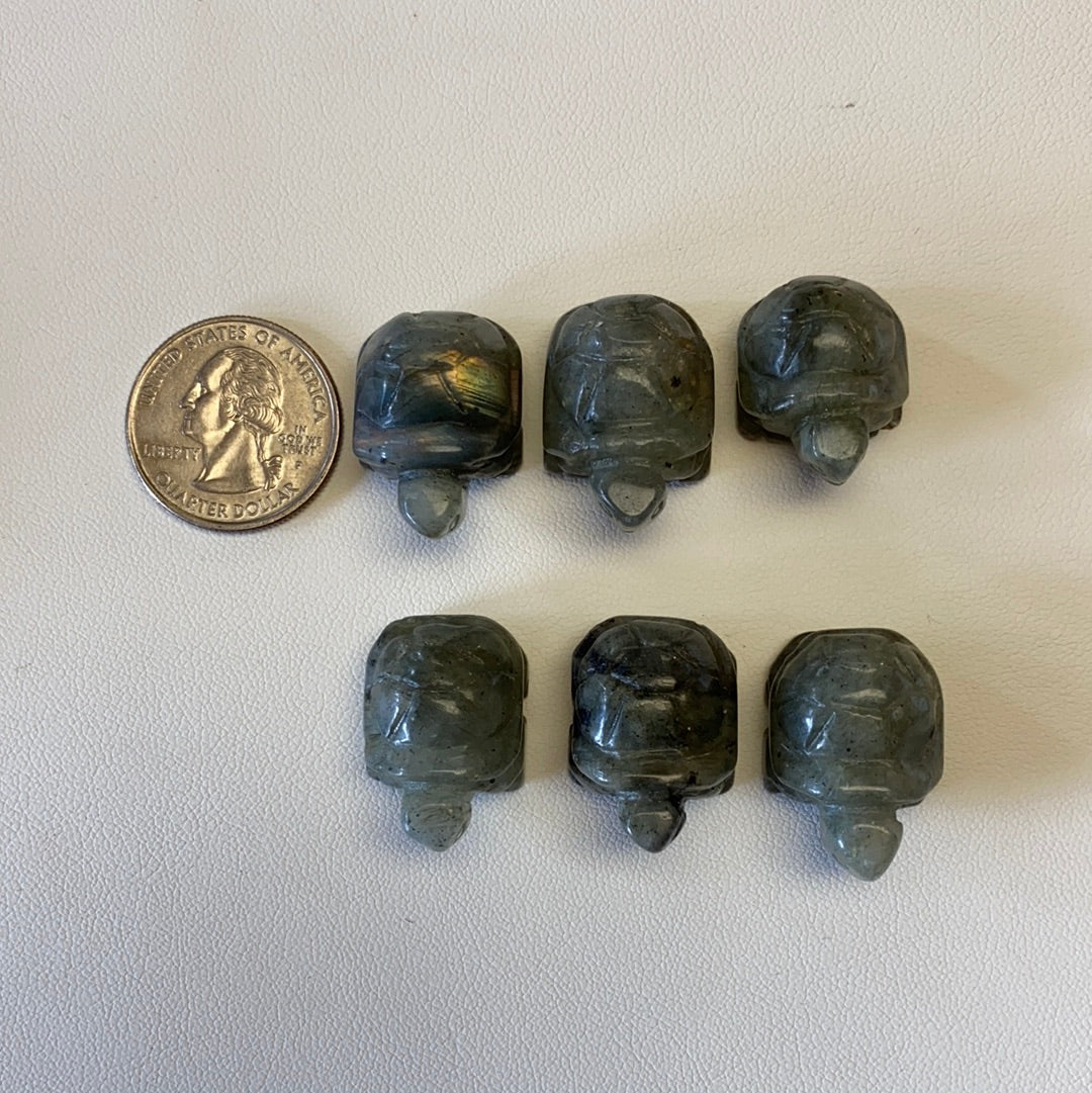 Labradorite Turtle Carving Ben Valas