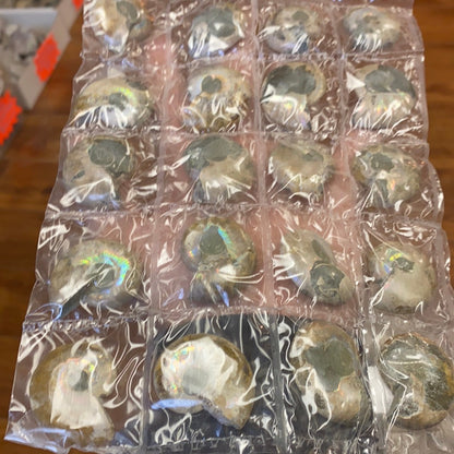 Iridescent Ammonite sheets MMM