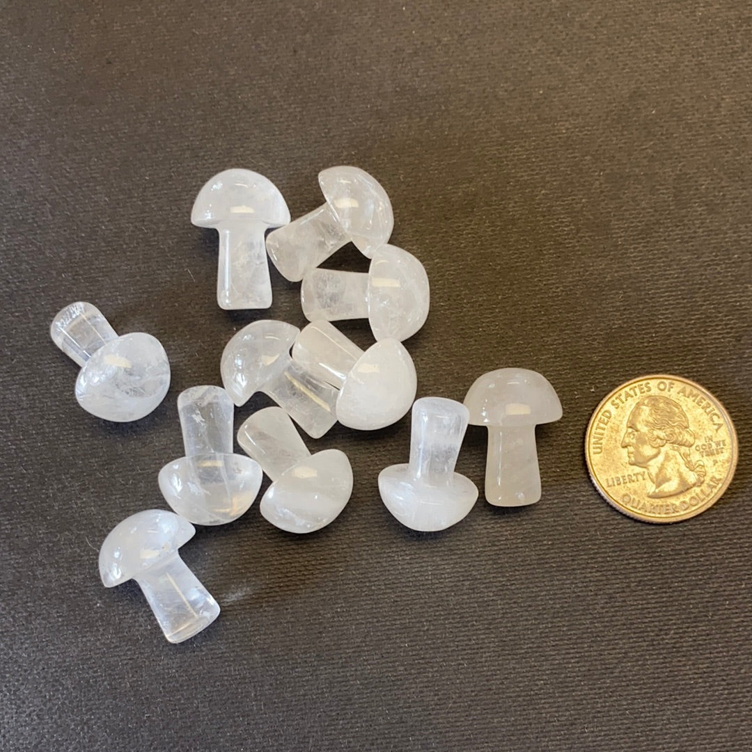 Snow Quartz Mushrooms Mountain Mineral Market