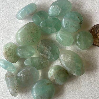 Green Fluorite Tumbles Mountain Mineral Market