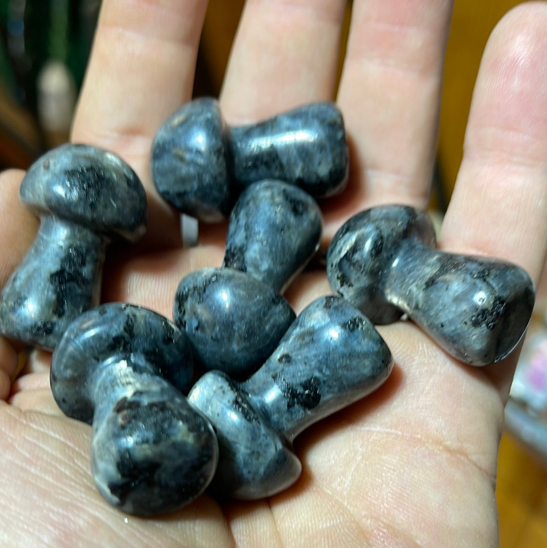 Larvakite Mushrooms 1.5 inch Mountain Mineral Market