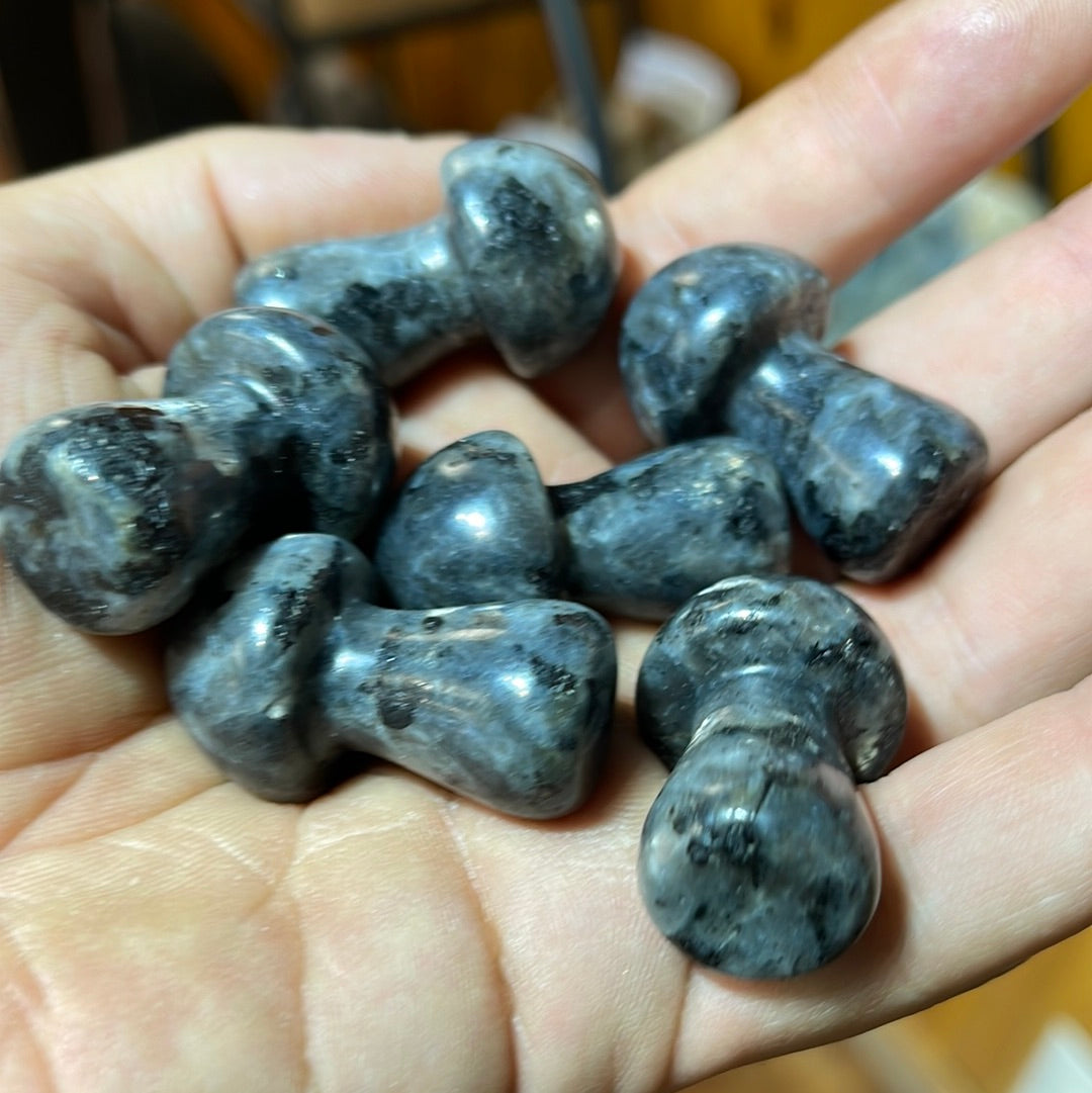 Larvakite Mushrooms 1.5 inch Mountain Mineral Market